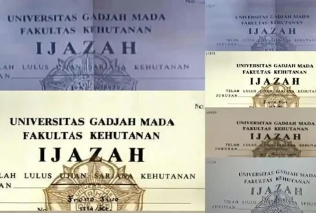 Ijazah 'Google University' & 'Meta Academy' Diakui Resmi, Apakah Gelar Konvensional Akan Punah?